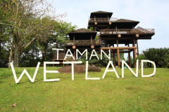 Taman Wetland Putrajaya