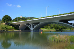 SERI BESTARI BRIDGE