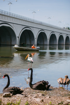 Wetland Park