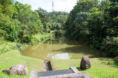 Rimba Alam Park