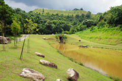 Rimba Alam Park